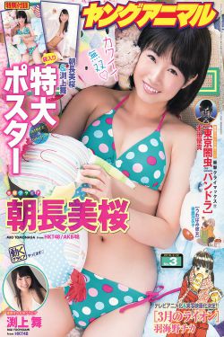 野花日本TV完整版免费观看