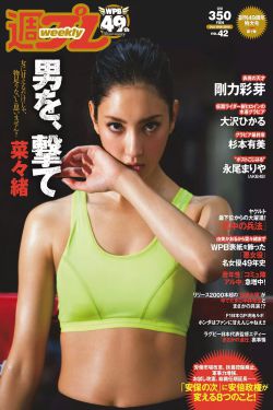 古董局中局雷佳音版